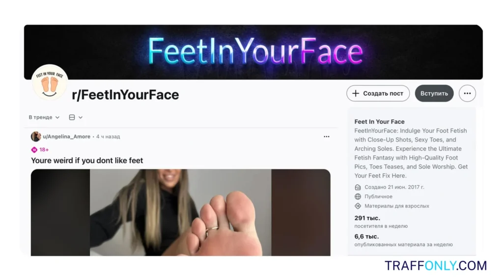Пример сообщества FeetInYourFace на Reddit