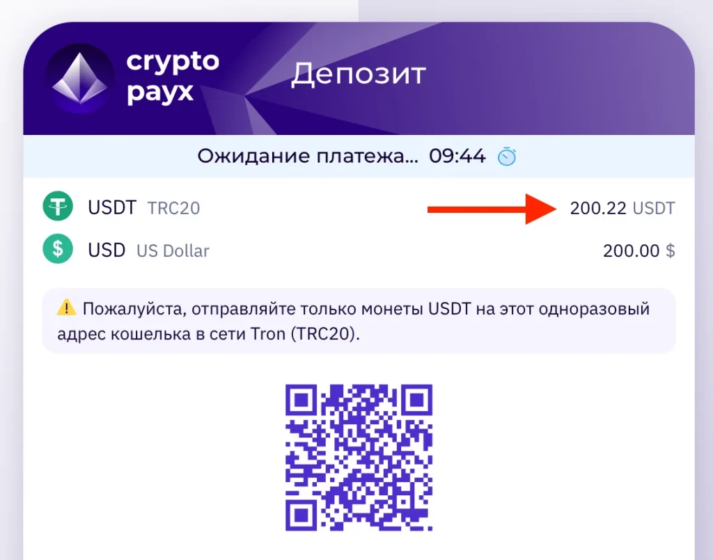 Crypto PayX deposit payment screen