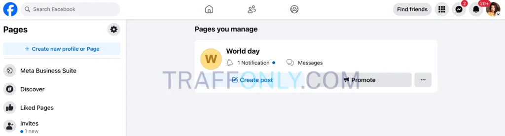 Страница Facebook в разделе управления Pages