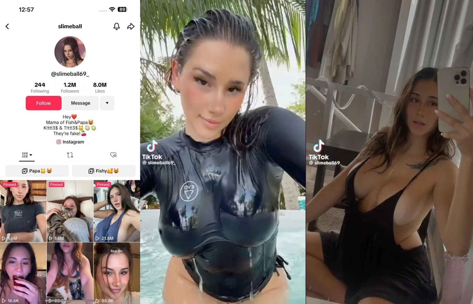 A creator profile and an example TikTok video