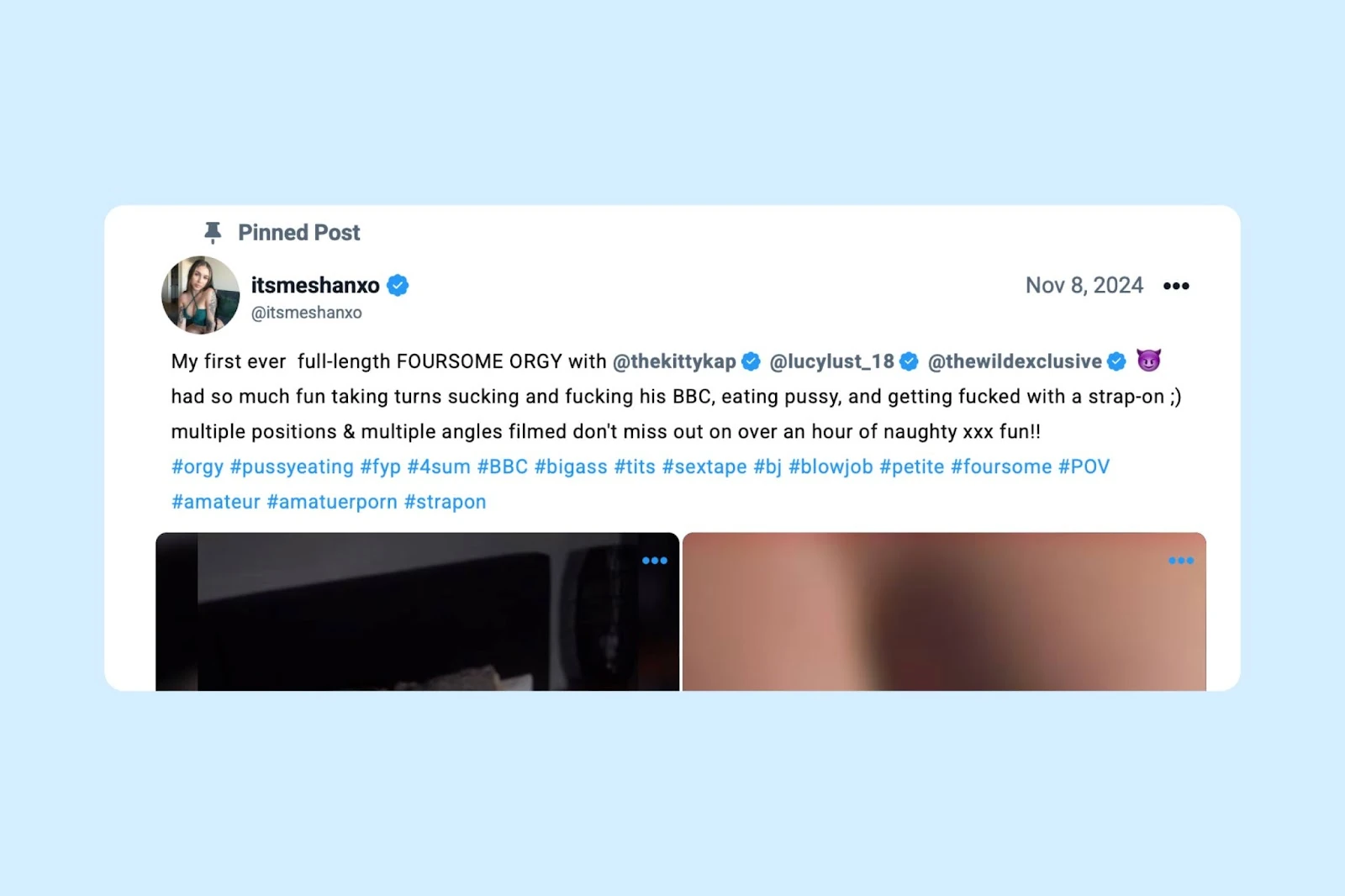 A pinned post describing a Fansly creator’s content